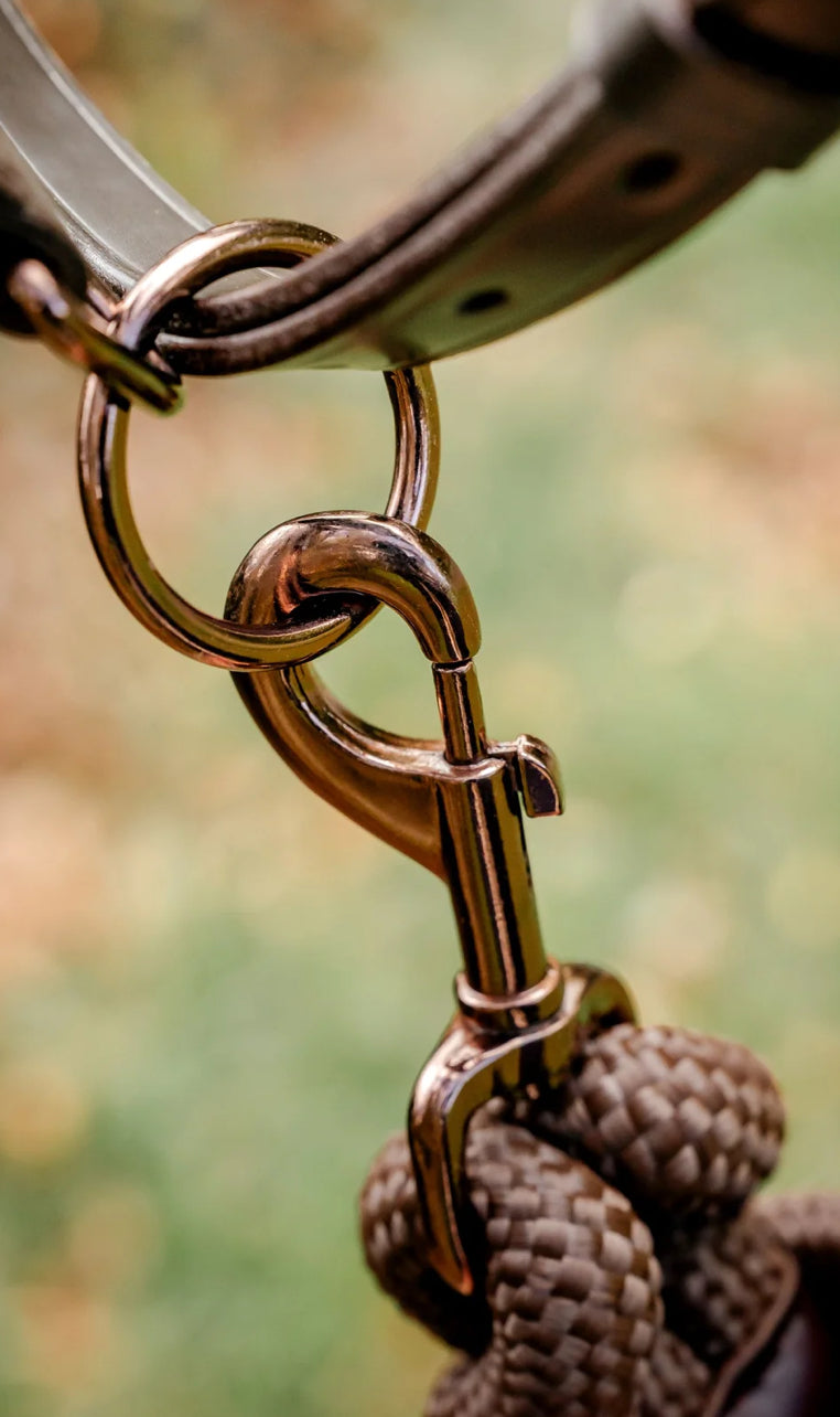 Cameo competition leather head collar and lead rope