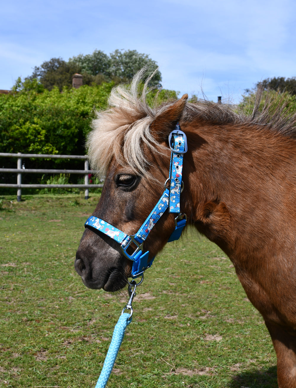 Rhinegold Unicorn Padded Headcollar And Matching Lead Rope Set