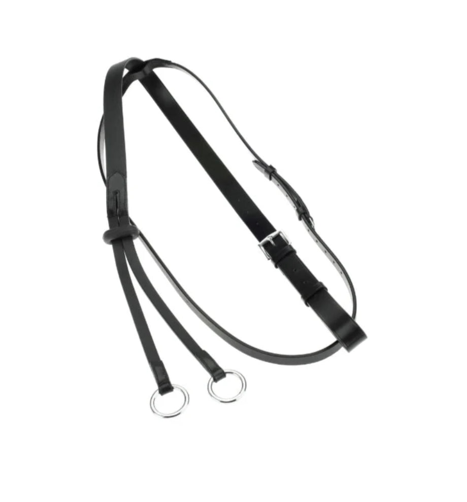 Cameo running martingale