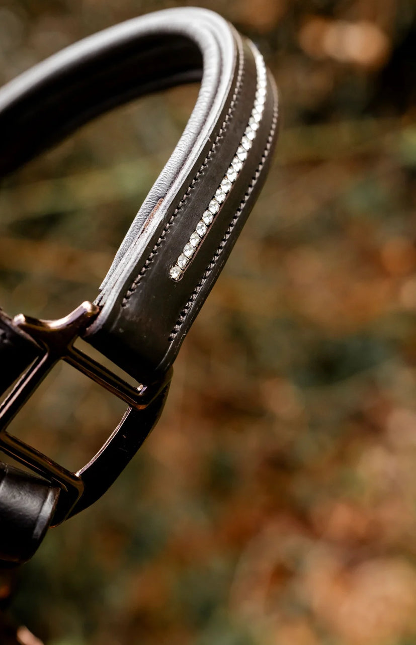 Cameo competition leather head collar and lead rope