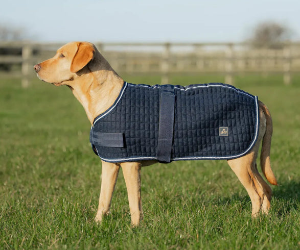 Mackey thermo dog rug