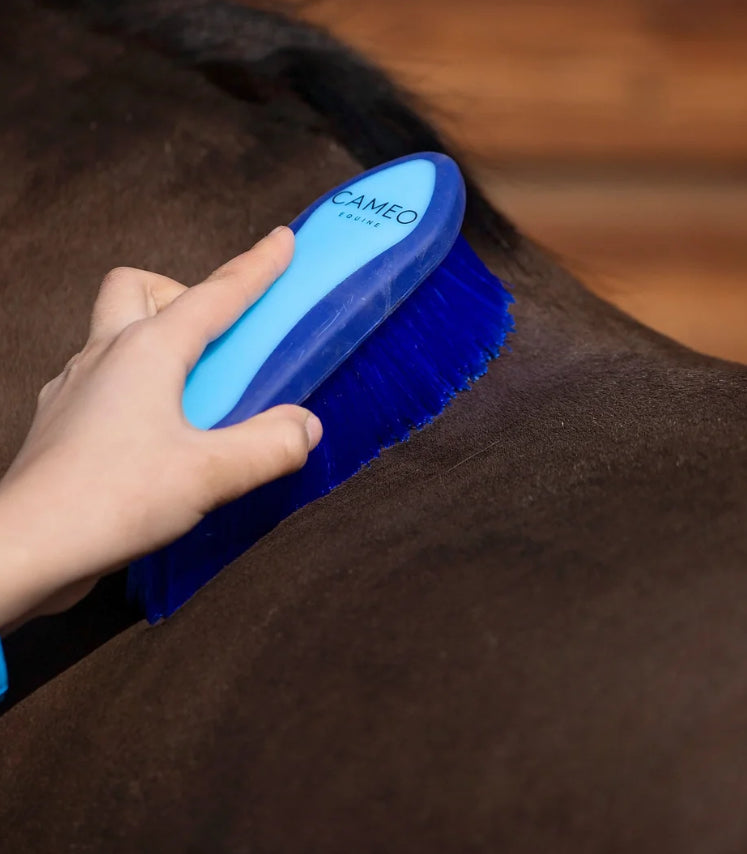 Cameo dandy brush