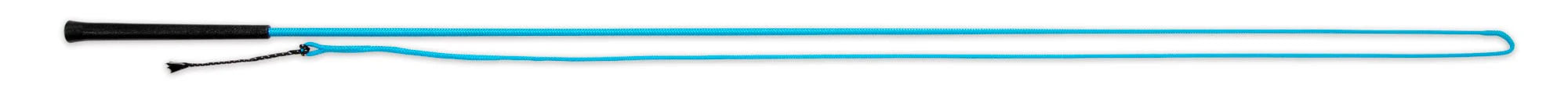 Lunging Whip