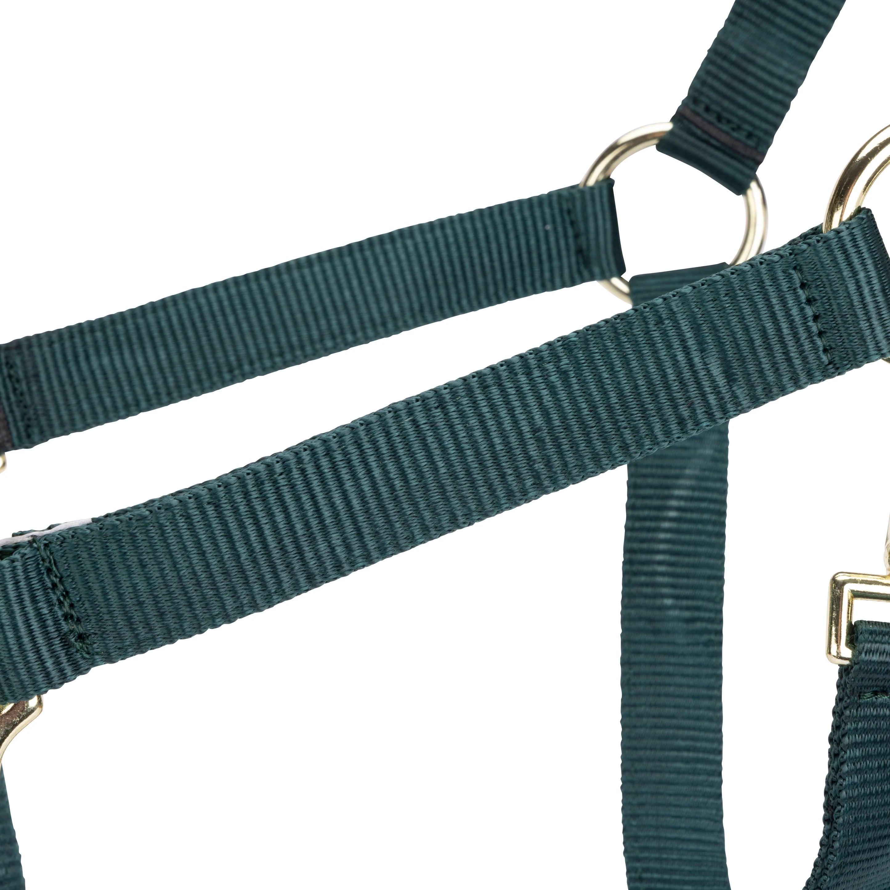 ARMA Adjustable Headcollar