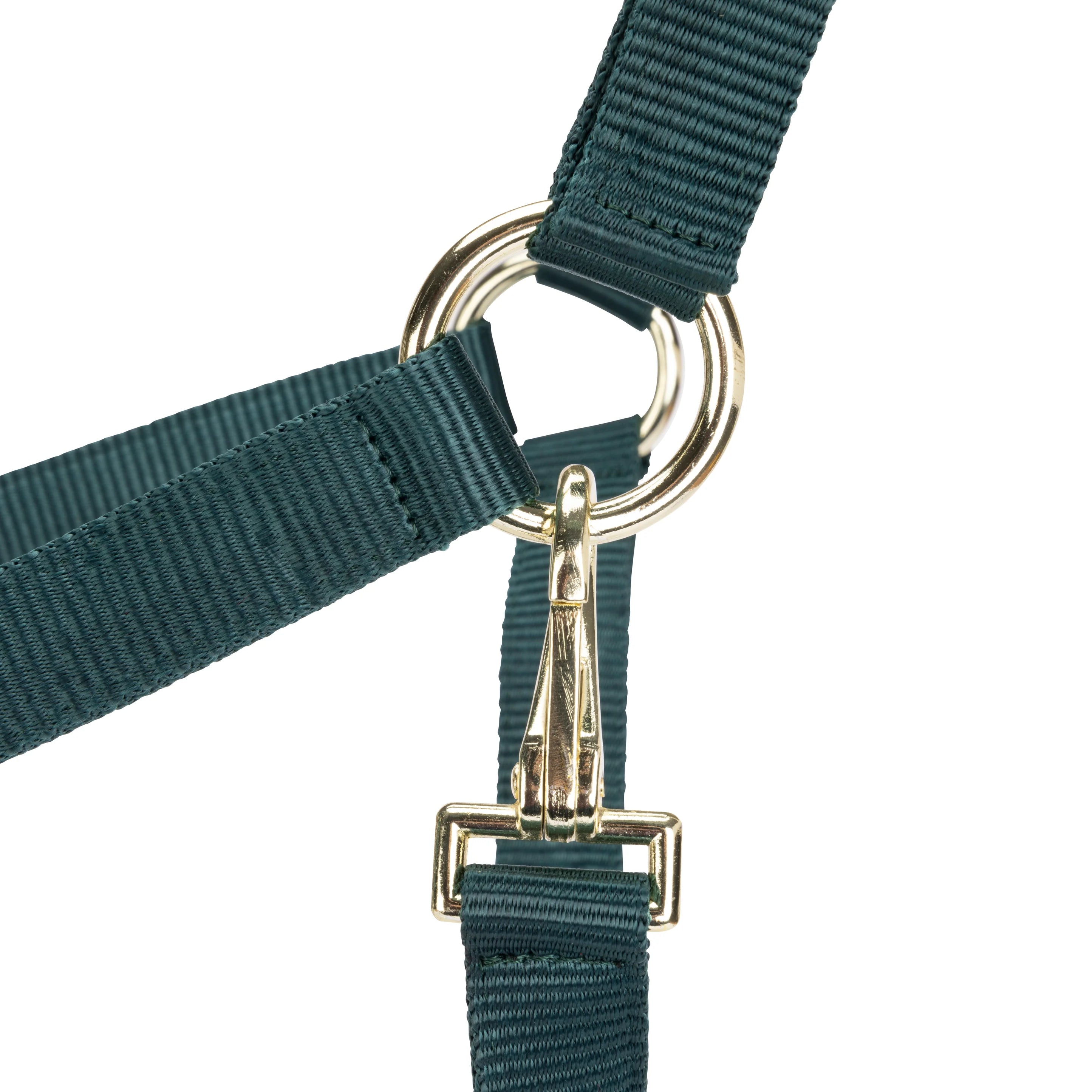 ARMA Adjustable Headcollar