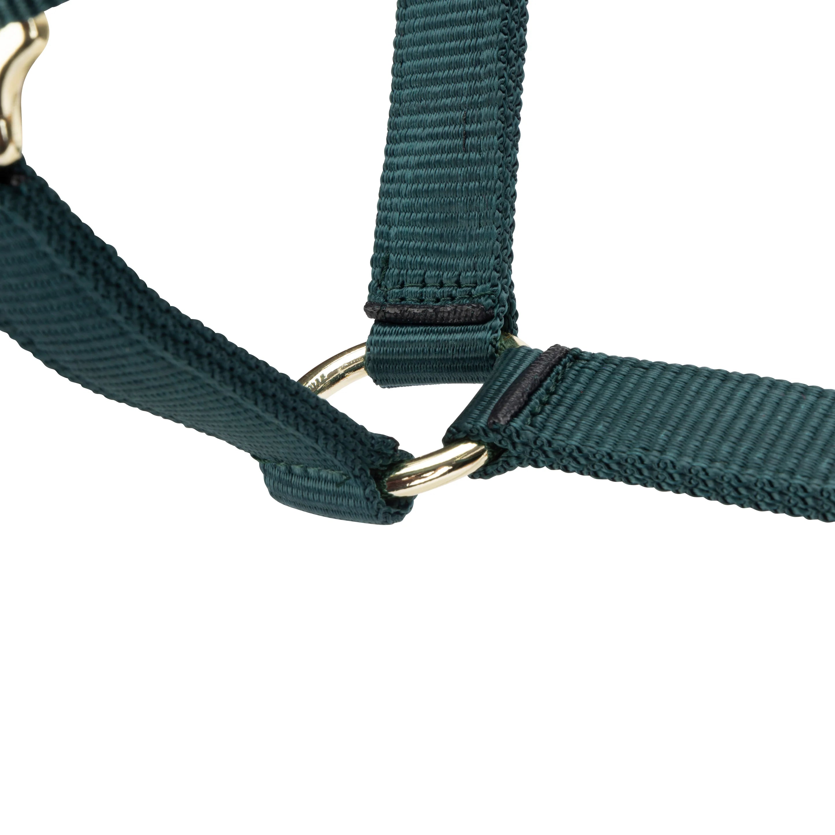 ARMA Adjustable Headcollar