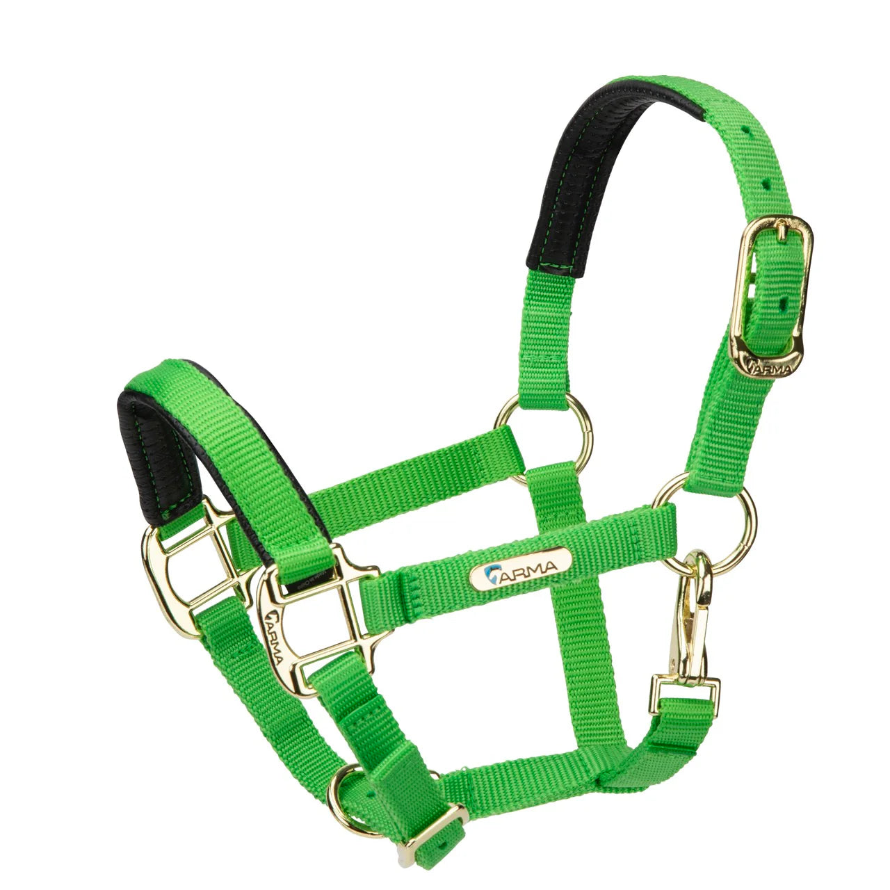 Topaz Nylon Headcollar