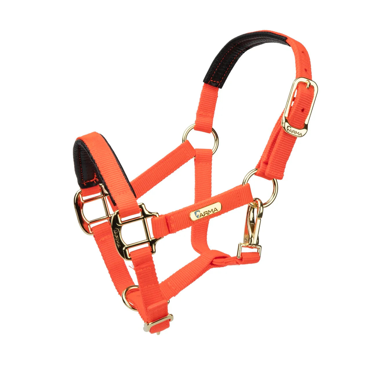 Topaz Nylon Headcollar