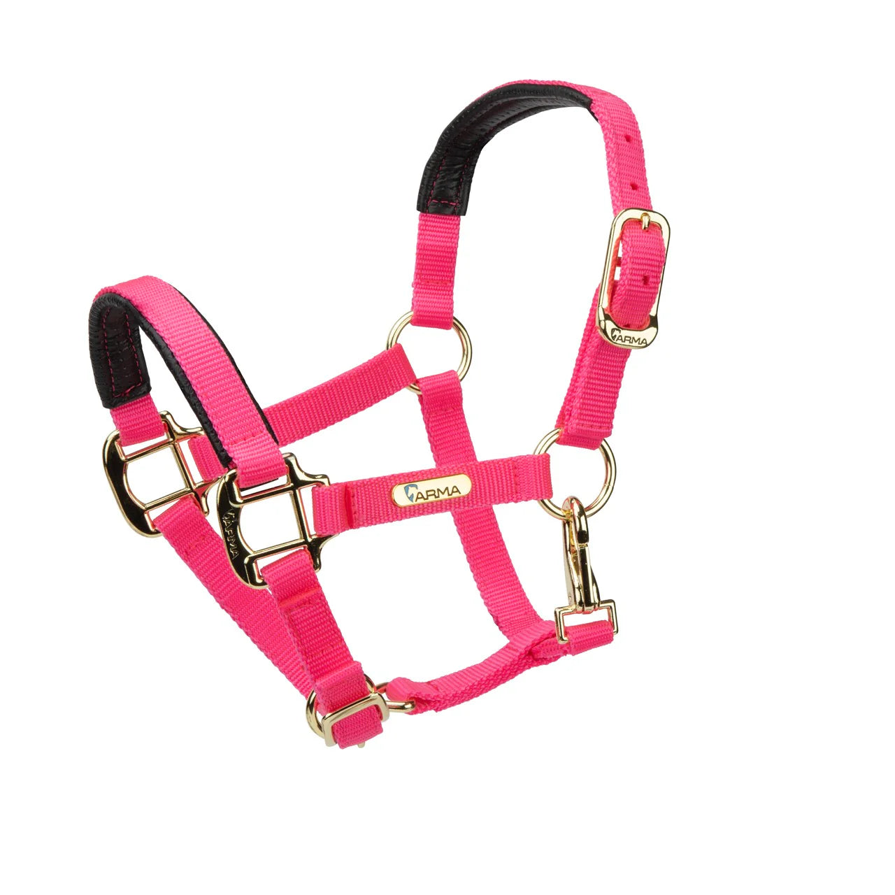 Topaz Nylon Headcollar