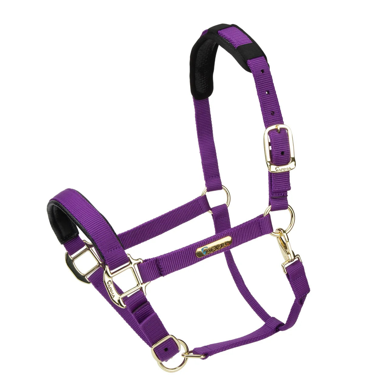 Topaz Nylon Headcollar