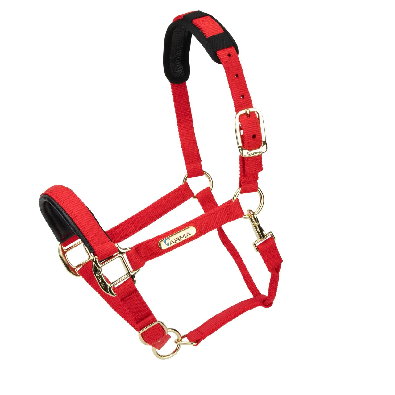 Topaz Nylon Headcollar