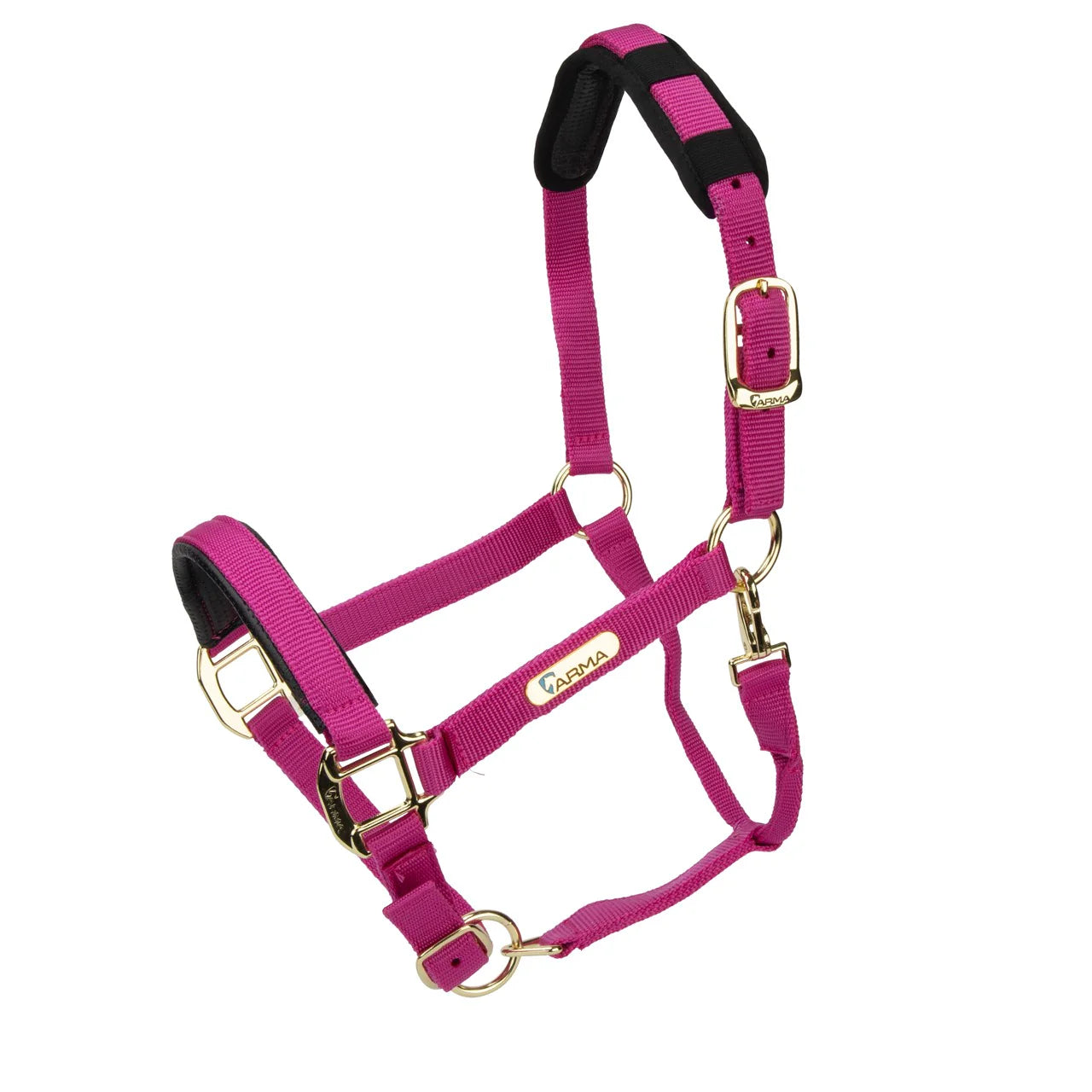 Topaz Nylon Headcollar