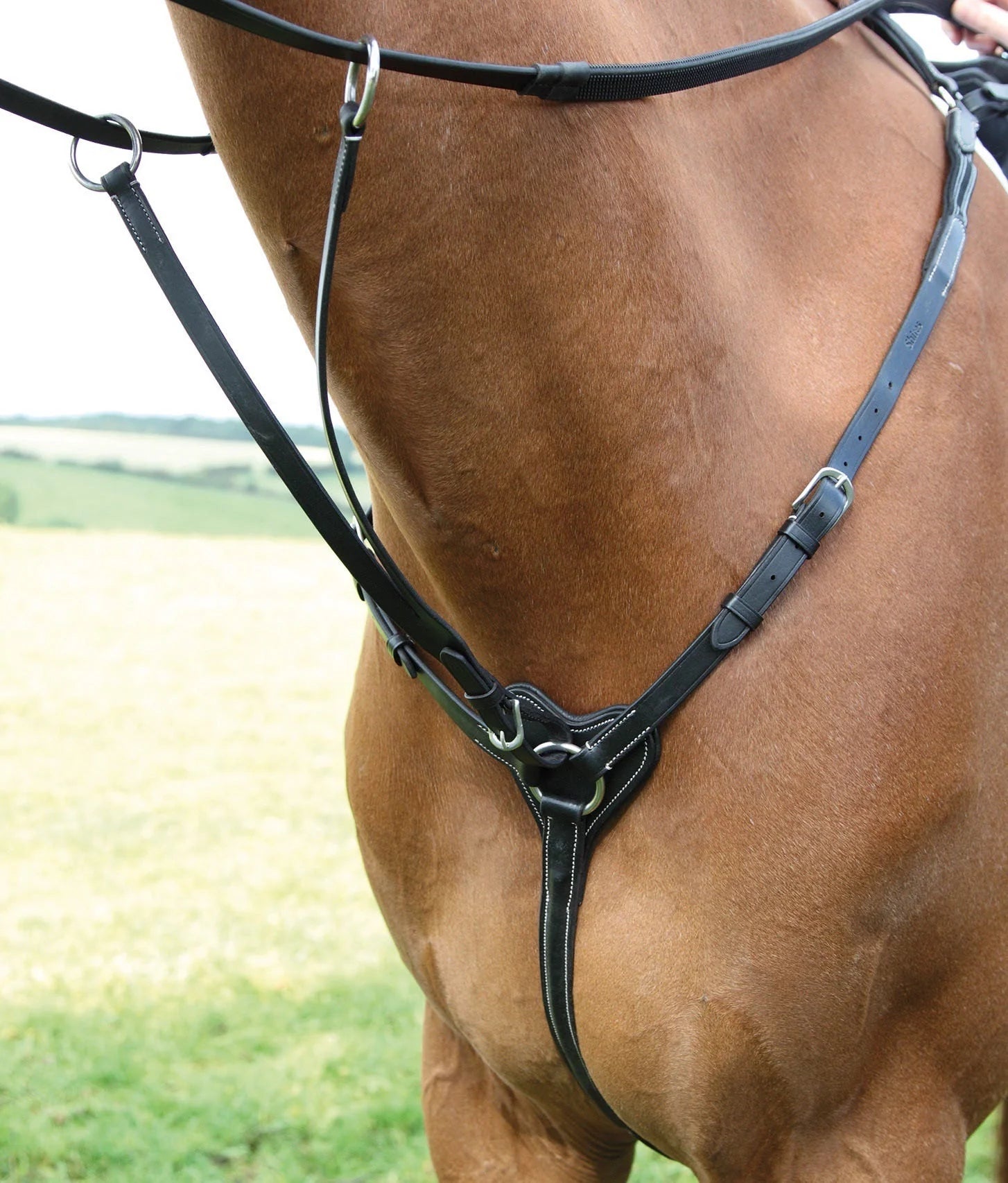 Salisbury Three Point Breastplate