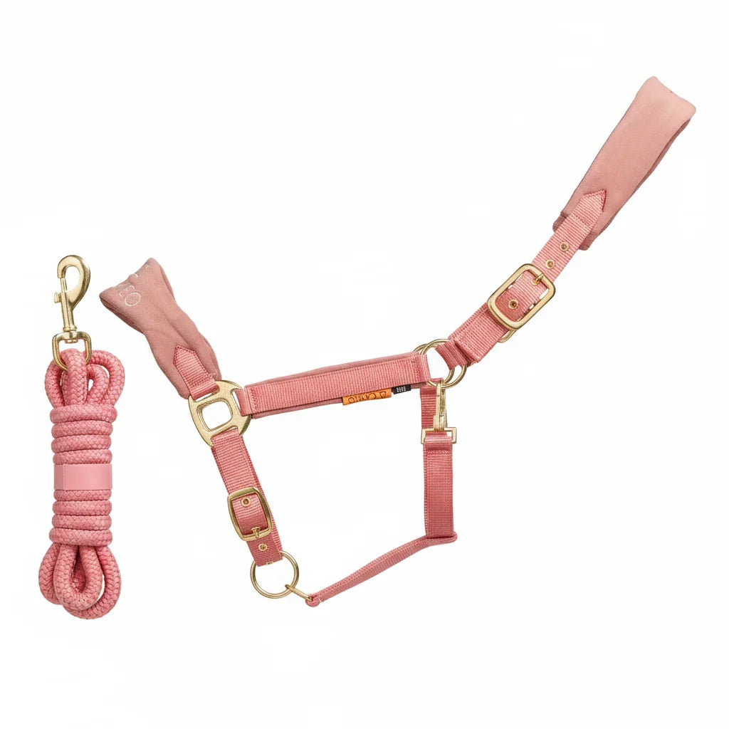 Suede Elite Headcollar & Rope set